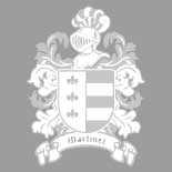 Site para serralheria Cliente Serralheria Martinez